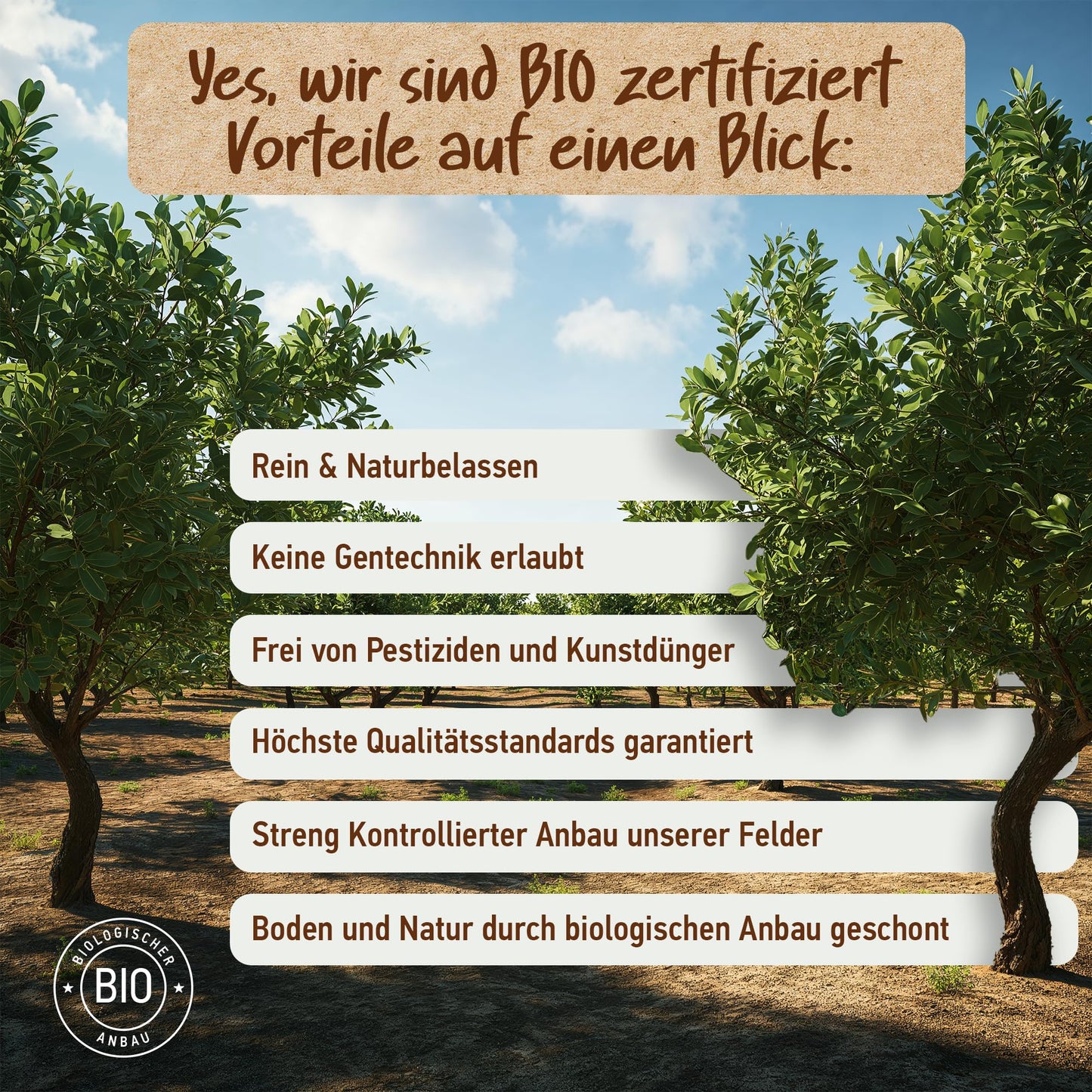 ARGANÖL BIO KALTGEPRESST | 100% Rein | Für Haare Haut & Nägel | Pipette+Pumper | Original aus Marokko | 100ml im lichtgeschützten Braunglas | Für Kosmetik | Feuchtigkeitspflege von Soena